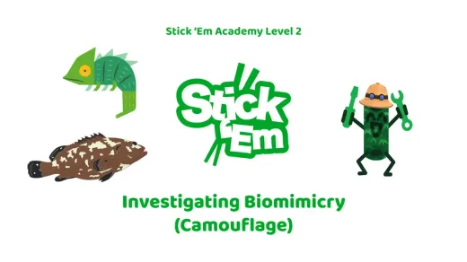 Stick ’Em Academy lesson cover: Investigating Biomimicry (Camouflage)